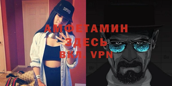 мет Алексин
